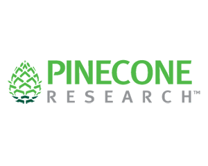 Pinecone online paid survey panel