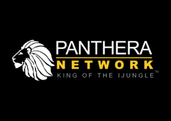 Panthera Network Logo