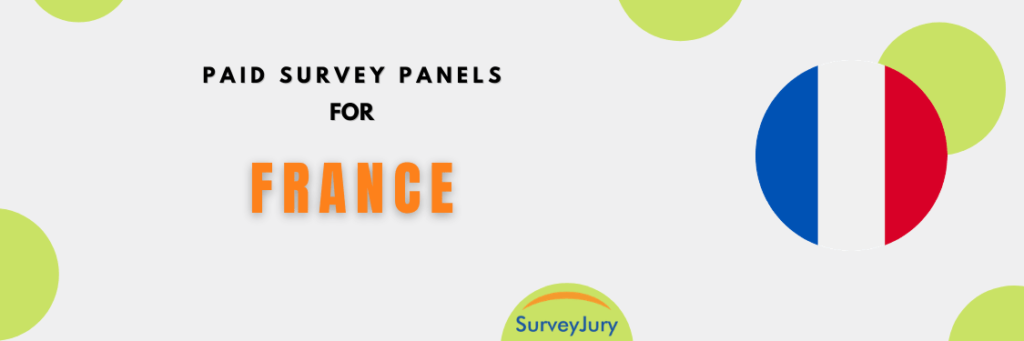 Popular Paid Survey Panels For France
